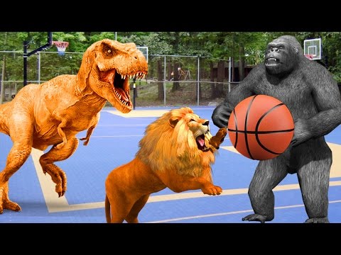 Learn Animals For Children Learn Wild Animals Names And Sounds 3D Funny Animals Playing Basketball