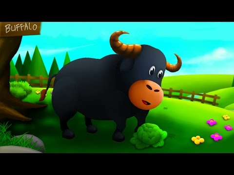 Baby Learn Farm Animals Names and Sounds With Funny Cartoon Characters