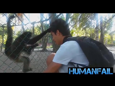 BEST Epic FUNNY Animals Attack Compilation by HumanFail