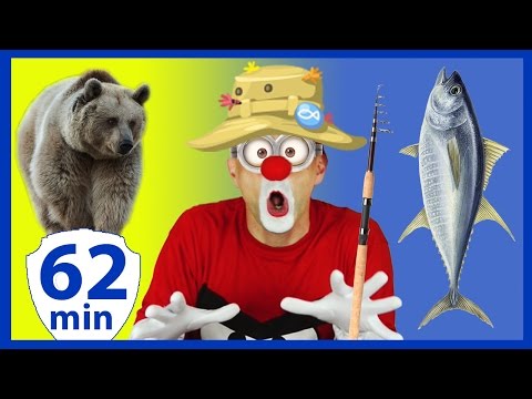 Funny videos for kids. Complication with Funny Clowns, Fishing for Kids, Animals, Zoo, Magic tricks