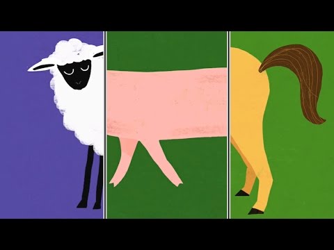 Animal Match Up Kids Learn Animal Names Combined Real Animals Farm animals Funny Videos