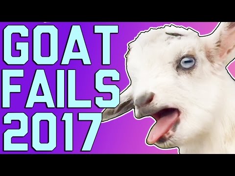 Funny Goats: Screaming Is Optional (March 2017) || FailArmy