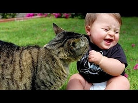 Funny Babies Laughing at Cats Compilation 2017 – Cats Loves Babies Video