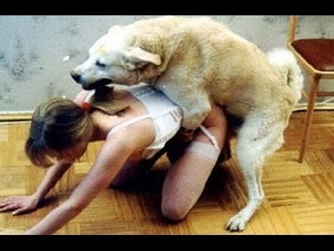 Funny Dogs – A Funny Dog Videos Compilation 2017
