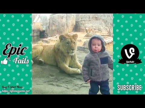 Funny Kids at the Zoo (Part 2) – Funny Animals Vines Compilation 2017  – Try Not To Laugh Challenge