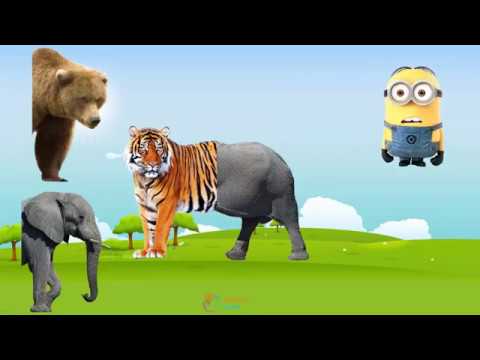 Wild Animals with Wrong Body  –  Learn Animals names and sounds –  Funny Animals Video for Kids