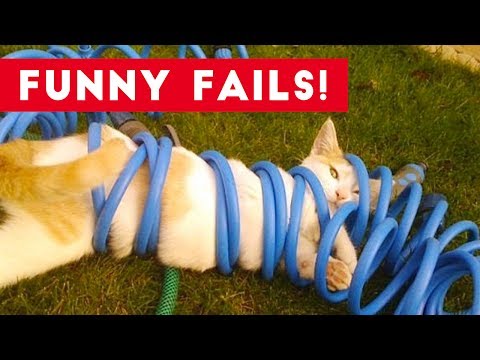 Funniest Animal Fails July 2017 Compilation | Funny Pet Videos