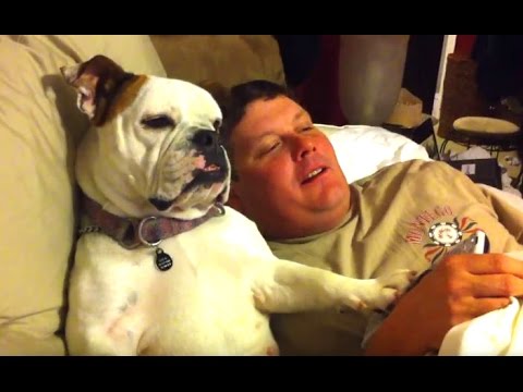 Top 10 Funny Dog Videos Compilation 2015 [NEW HD]