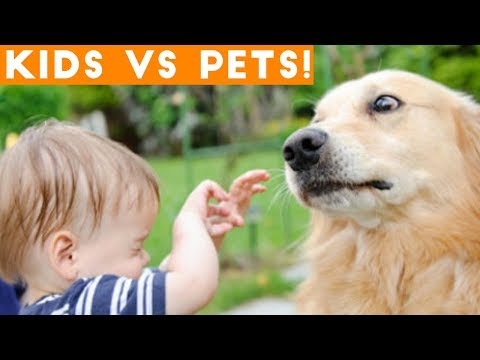 Ultimate Cute Pets vs. Epic Kids Fails Compilation | Funny Pet Videos May 2018