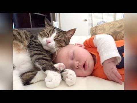 The FUNNIEST and CUTEST videos you’ll see today! – Super CUTE BABIES sleeping with CATS & DOGS