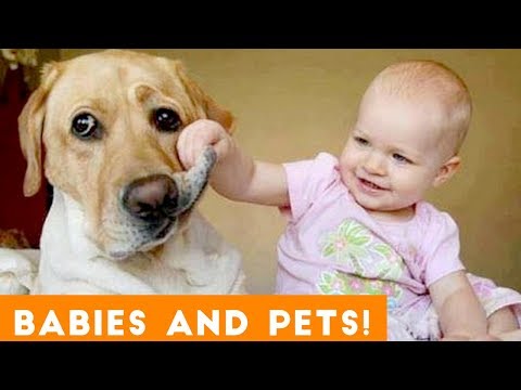 Most Adorable Animal and Baby Compilation 2018 | Funny Pet Videos