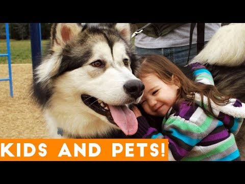 Most Amazing Kids and Animals Compilation 2018 | Funny Pet Videos