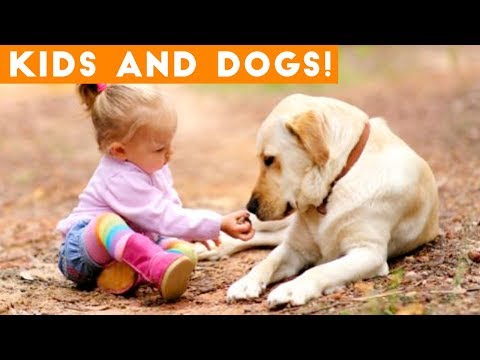 Most Adorable Dog and Baby Compilation Ever | Funny Pet Videos