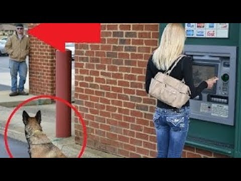 Dogs Protecting Their Owners – Dogs that are better than guns! [ Dog Training ]