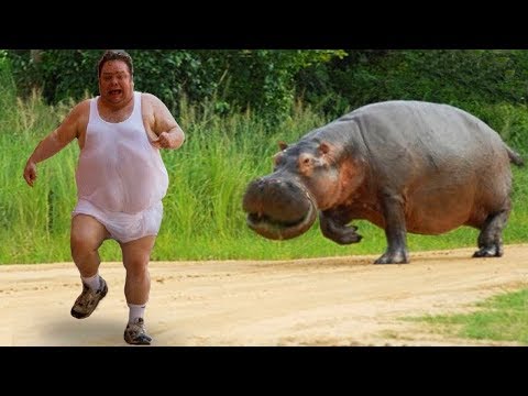 Funniest Animals Scaring People Reactions of 2019 Weekly Compilation 🐢🐪🐏🐍 Funny Pet Videos