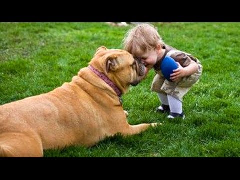 Funny Dogs and Babies are Best Friends πΆπΆ Cute Babies and Pets Video Compilation