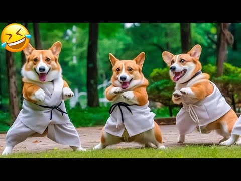 Funny Animal Videos 2023 😇 – Funniest Dogs and Cats Videos 😁 #11