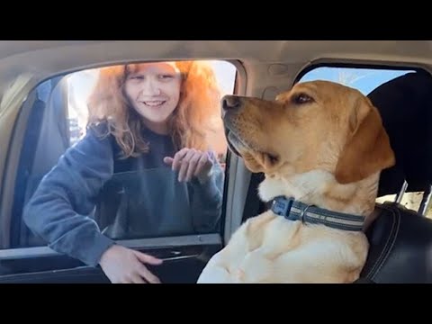Don't touch me, judy! 🙂The Funniest Dog and Human Moments