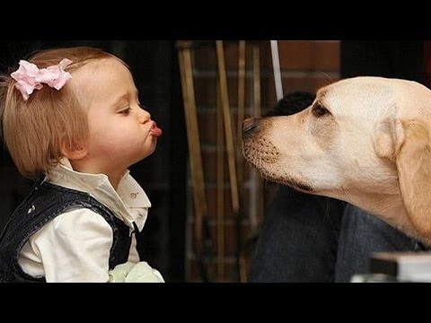 Funny dogs and babies talking – Cute dog & baby compilation