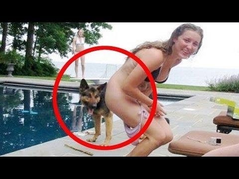 TRY NOT TO LAUGH: Ultimate Funny Dogs Compilation 2016 #2