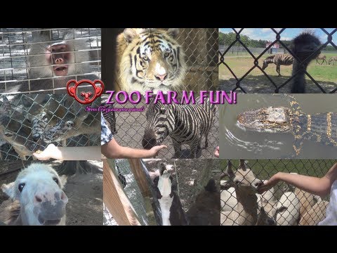 Feeding Crazy Funny Animals at a Zoo Farm!