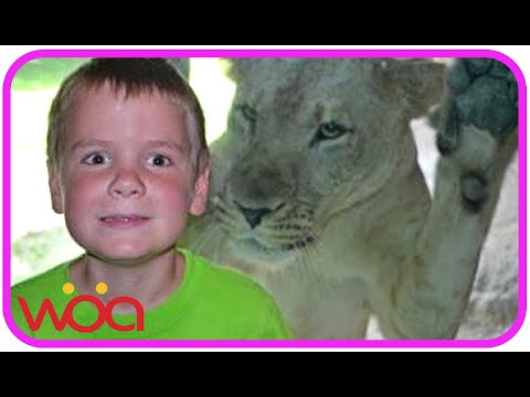 Babies At Zoo Wild Animal Scares Babies – New Funny Compilation