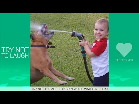 Try Not To Laugh Or Grin – Funny Kids Dog Fails Compilation !