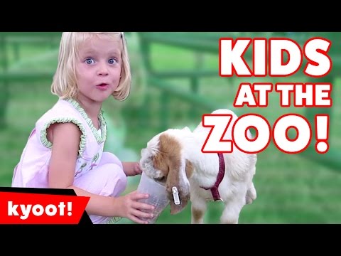 The Cutest Kids React to The Funniest Zoo Animals of 2016 Weekly Compilation | Kyoot Kids