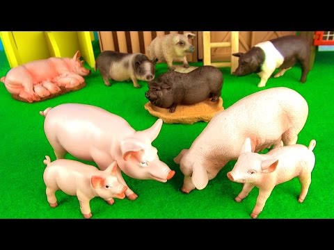Farm Animals Kids Toys | Fun Facts about Pigs in English | Funny ending!