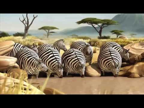 natural habitat in Africa is very funny animation (funny wildlife) (funny animals)