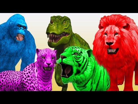 Wild Animals Dancing & Playing with Joker | Nursery Rhymes | Funny Cartoons Rhymes for Children