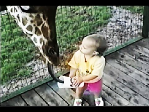 Funny Compilation at the Zoo – Kids and Animals