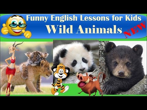 Learn Real Wild Animals for Kids | Funny animals | Comedy Cartoons Heroes