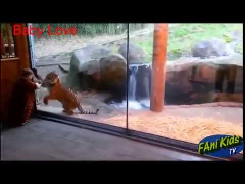 Funny animal fails compilation || Animals jokes fails kids at the zoo ||Funny Compilation 2015