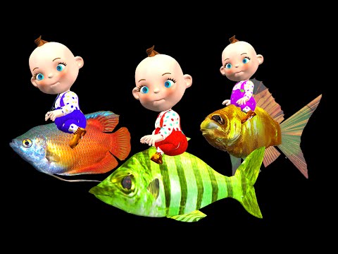 Three Little Babies On Three Little Fishes Watching Wild Animals | Funny Little Babies Collection