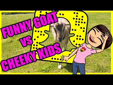 ANIMALS ON SNAPCHAT| FUNNY GOAT VS HUMAN KIDS | FUNNY FARM ANIMAL VIDEO