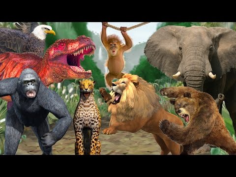 Learn Colors with Animal Sounds Funny Animal Compilation Learn Wild Animals for Children Kids Babies