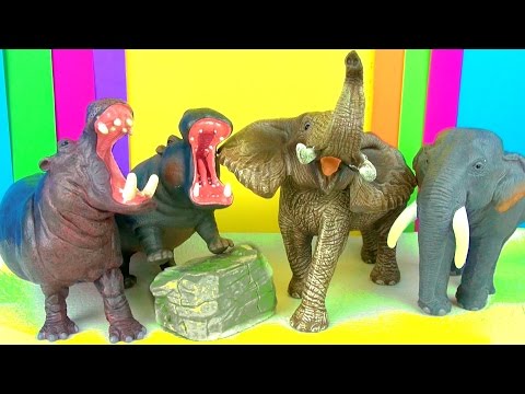 Wild Animals Kids Toy Collection Elephants and Hippopotamus Kids Zoo Toys Review Funny Ending