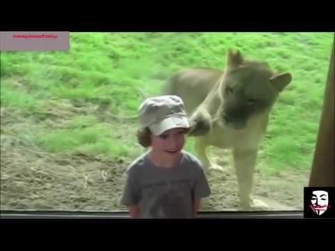 Zoo Animals and KIDS  Funniest Videos   TRY NOT TO LAUGH!(MUST WATCH)