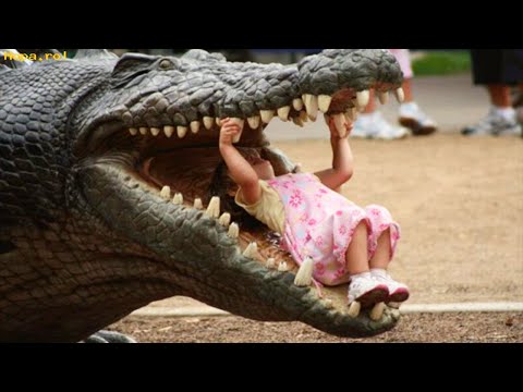 Kids and Zoo Animals – Funniest Videos – TRY NOT TO LAUGH!