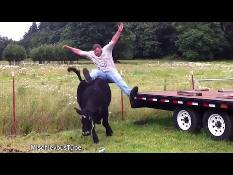 Funny Animals | Farm Animals are CRAZY | TRY NOT TO LAUGH | 2017