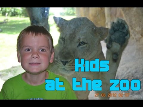 Kids Play With Animals In The Zoo Compilation 2016 – NEW HD