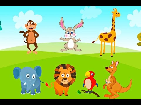Funny cartoon wild animals for kids entertainment | Learn Animals names in English