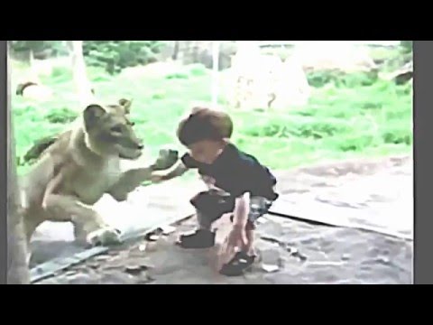 children play with wild animals:funny