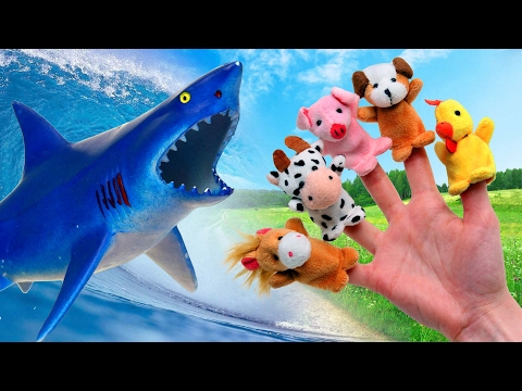 Finger Family Shark VS Farm Animals Collection Learn Animals Names Funny Song For Children