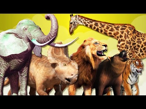 Learn Names And Sounds of Wild Animals | Funny Animals Video for Kids | Learn Wild Animals for Kids
