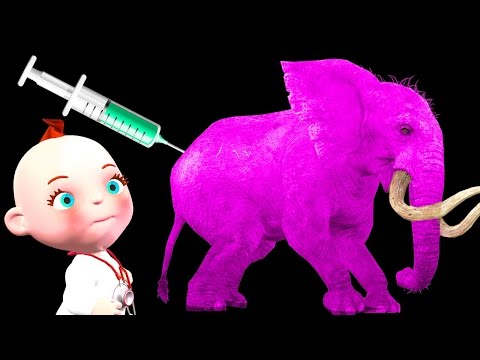 Funny Little Babies Doctor Syringe Wild Animals Finger Family Rhymes | Five Little Babies Collection