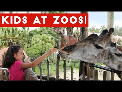 Funniest Kids at the Zoo Reactions Compilation October 2016 | Funny Pet Videos
