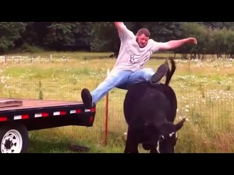 Funny Farm Animal Fails – Funny videos 2017