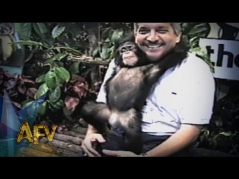 Funniest Zoo Animals Get Personal | Animals | AFV